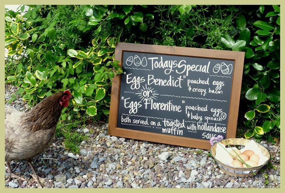킬라니 Applecroft House B&B 외부 사진